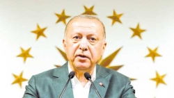 الوفد الأوروبي: الانتخابات البلدية التركية جرت في ظروف حسنة