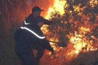 جهود متواصلة للسيطرة على حريق مهول بالحظيرة الوطنية للشريعة بالبليدة