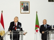 القاهرة تساند موقف الجزائر تجاه الأزمة المالية
