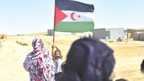 الصّحراويّـون يطالبــون بصـدّ الشّركات المتورّطــة في نهب مواردهم