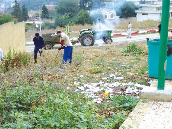 جمع 300 كيس من النفايات ببحيرة سيدي محمد بن علي