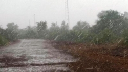 نشرية خاصة : أمطار رعدية بولاية إيليزي بداية من اليوم
