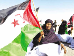 القضيـة الصحراوية تحظى بدعـم قـوّي فـي الأمم المتحــدة