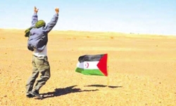 تأكيد دولي على دعم تقريـر المصـير في الصحراء الغربية