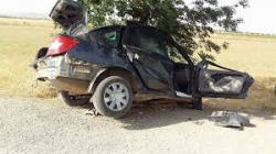 معسكر : 4 قتلى في حادث مرور ببلدية تيغنيف