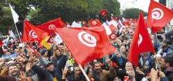 الثورة التونسية  استوفت مقومات النجاح