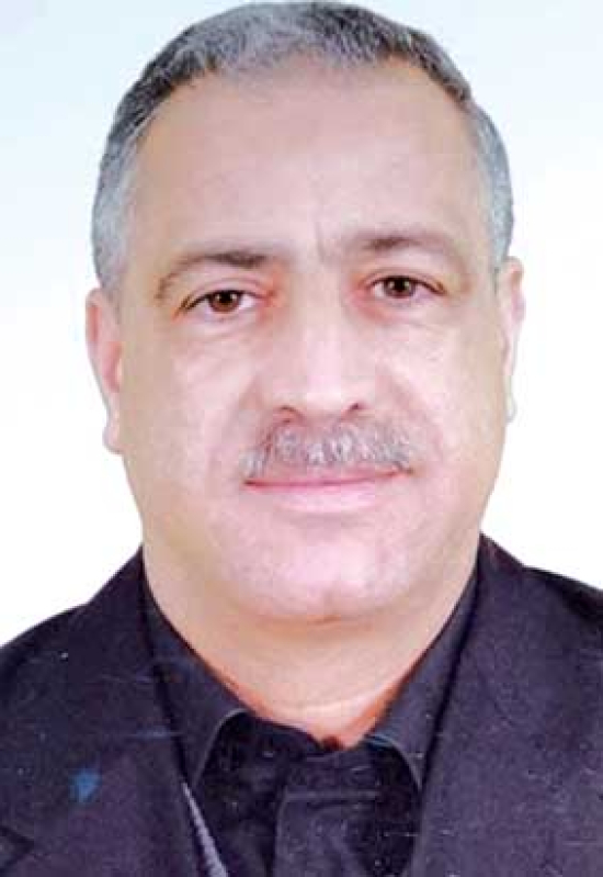 جهــود المجـــامع اللّغويّـة
