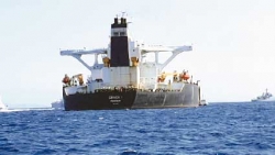 صحيفة تفضّح تورّط سفينة نيوزلندية  في نهب الثّروات الصّحراوية