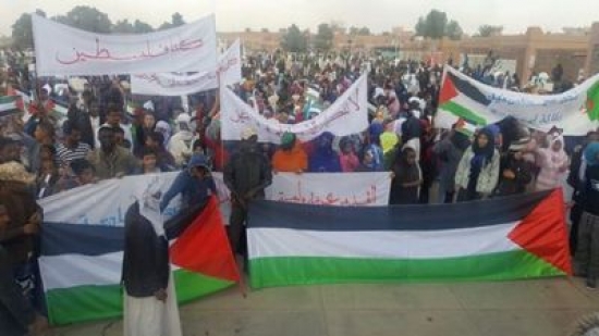 تمنراست : المجتمع المدني و الأئمة و الطلبة ينظمون وقفة تضامنية مع فلسطين