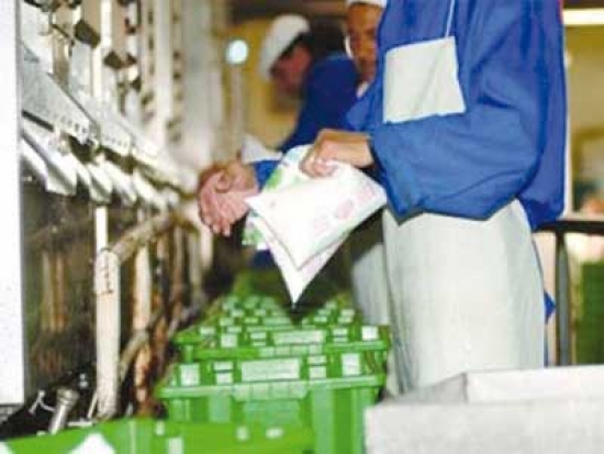 انخفاض فاتورة استيراد الحليب  إلى  477 مليون دولار