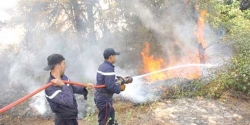 هاجس الحرائق يؤرق الفلاحين بولاية بومرداس