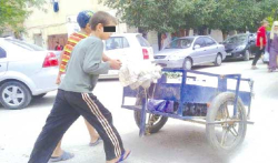 عمل الطلّاب الصيفي.. فوائدٌ بالجُملة