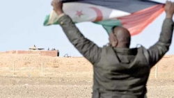 البوليساريو تتحرّك دوليا وتواصل المعارك ضد الجيش المغربي