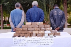 وزارة الدفاع : توقيف 3 تجار مخدرات وحجز أكثر من 22 كيلوغرام من الكيف المعالج ببشار