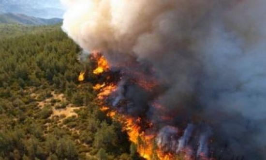 باتنة: حريق مهول يأتي على 3 هكتارات من الغابات بمنطقة ذراع عيسى