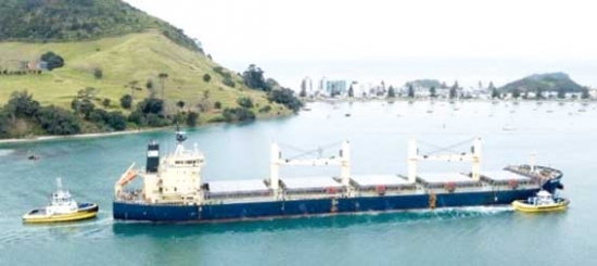 نيوزيلنديون يحاصرون سفينة محملة بفوسفات الصحراء الغربية