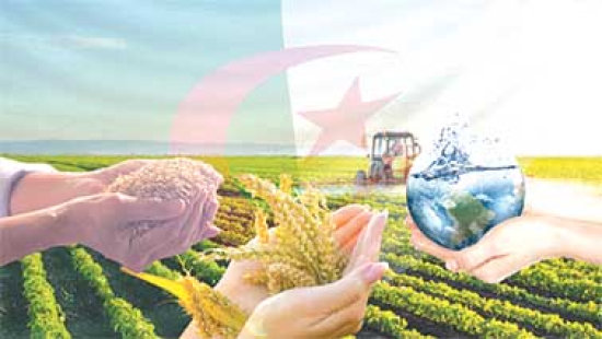 الرقمنة.. رهان تكريـس الأمن الغذائي ودعم التصدير