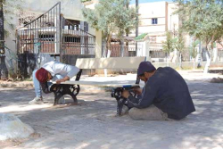 الجلـفة.. مشاريع لإنشاء وتأهيل الحدائق العموميـة