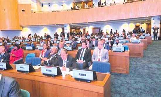 التجويع الممنهج بغزة وصمة عار في جبين الإنسانية