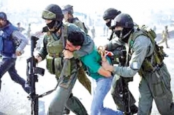 شرطة الاحتلال تقمع احتجاجات على أعمال التجريف