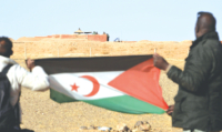 الإحتلال المغربي يمعّن في نهب ثروات الصّحراء الغربية