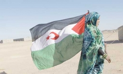 تحذير من تداعيات سياسة الاستيطان في الصحراء الغربية