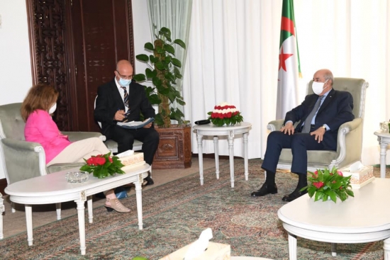 الرئيس تبون يستقبل الممثلة بالنيابة للأمين العام لمنظمة الأمم المتحدة في ليبيا