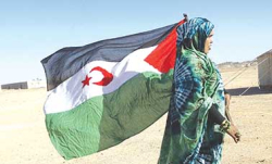 الصّحراويّون يعزّزون وسائل الدّفاع عن ثرواتهم الطّبيعية