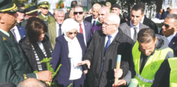 2025.. عام تحقيــق الاكتفاء الذاتـــــي في شعبة الحبــــــــــــــــوب
