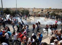 عشرات الجرحى  في اشتباكات بين الفلسطينيين وقوات الاحتلال في باحات الأقصى المبارك