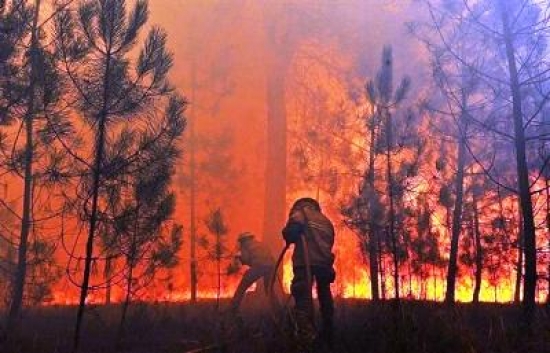 البرتغال: ارتفاع حصيلة ضحايا حرائق الغابات إلى 43 قتيلا