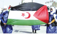 المخـزن.. سرطـان يهـدّد أمـن واستقـرار المنطقـة