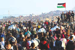التقدير والعرفان للرئيس عبد المجيد تبون لرعايته لقضايا الأمة