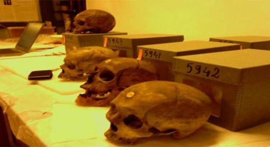 باحث جزائري: وجود قرابة 536 جمجمة لمقاومين جزائريين بمتحف باريس
