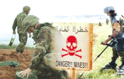 فرنسا مُلزمة بتنظيف حقول الألغام وتعويض الضحايا