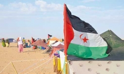 الأمم المتحدة مطالبة بوقف نهب الثروات الصحراوية