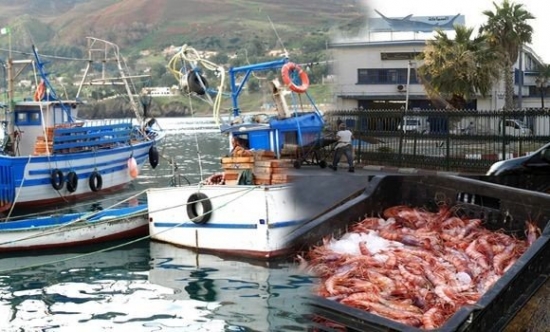 الجزائر-الاتحاد الأوروبي: اقتناء مركز بيانات لإحصائيات الصيد البحري