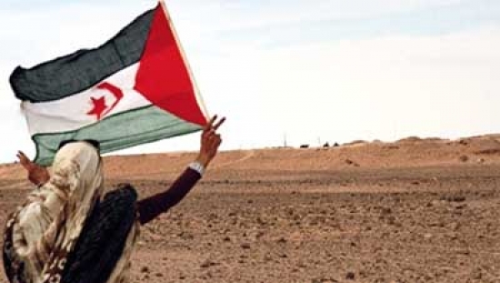الرئيس عبد العزيز ينبّه بان كي مون إلى الانتهاكات المغربية في الأراضي الصحراوية المحتلة