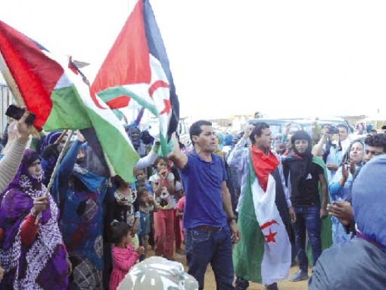 معتقلون صحراويون ضمن مجموعة «أكديم إزيك» في إضراب عن الطعام