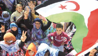 عدالة التاريخ أعلى من التضليل المخزني