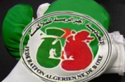 انتخاب محمد نحاسية رئيسا جديدا للاتحادية الجزائرية للملاكمة