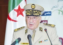 رئيس أركان القوات المسلحة القطرية يزور الجزائر