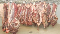 ارتفاع طفيف في أسعار اللحوم في المسيلة