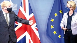 انفصال بريطانيا عن الاتحاد الأوروبي.. المكاسب والخسائر