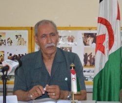 الرئيس الصحراوي يطالب الأمم المتحدة بإيجاد آلية لمراقبة وحماية حقوق الإنسان في الصحراء الغربية