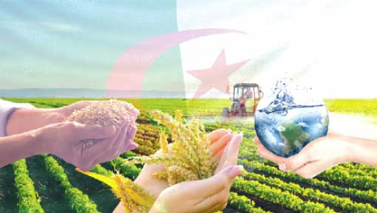 الجزائر المُنتصرة تؤمّن أقوات أبنائها