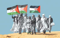 دعـم أممـي مطلـق للحقّ الصحراوي في تقرير المصير