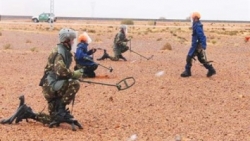 بلجيكا تشيد بانتهاء عمليات نزع الألغام المضادة للأشخاص وتدميرها بالجزائر