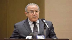 الدبلوماسية الجزائرية تحكمها مبادىء وليس أجندات وطنية ضيقة