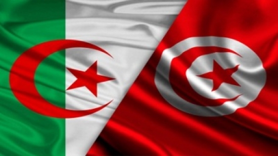 توأمة جزائرية تونسية للتحسين الجانب العمراني والبيئي لعاصمتي البلدين